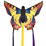 Butterfly Kite Swallowtail "R"