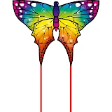 Butterfly Rainbow 110 cm